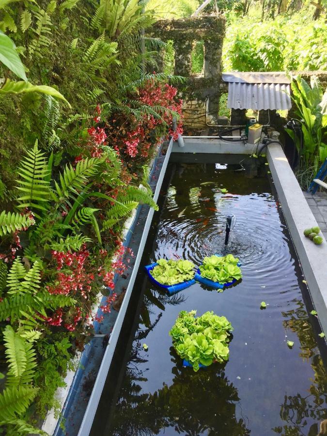 Pondok Plantation Luxury Mountain Escape Bedugul Bedugul  Exterior foto